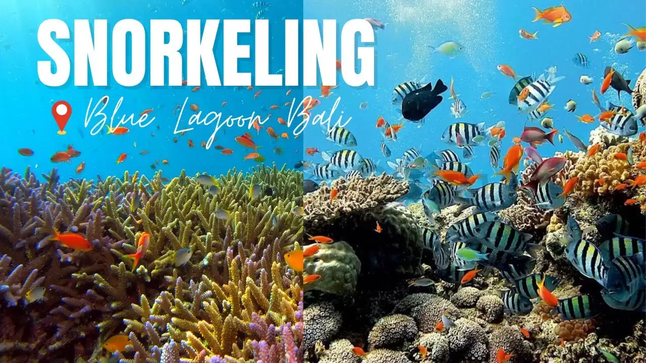 Bali Blue Lagoon Snorkeling With All Inclusive