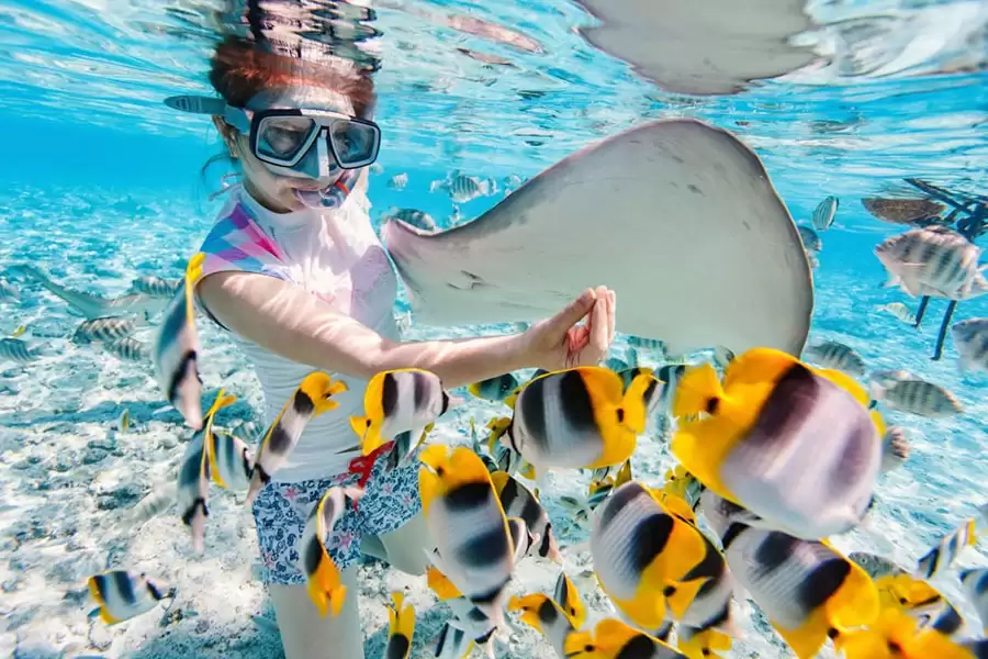 Bali Blue Lagoon Snorkeling With All Inclusive