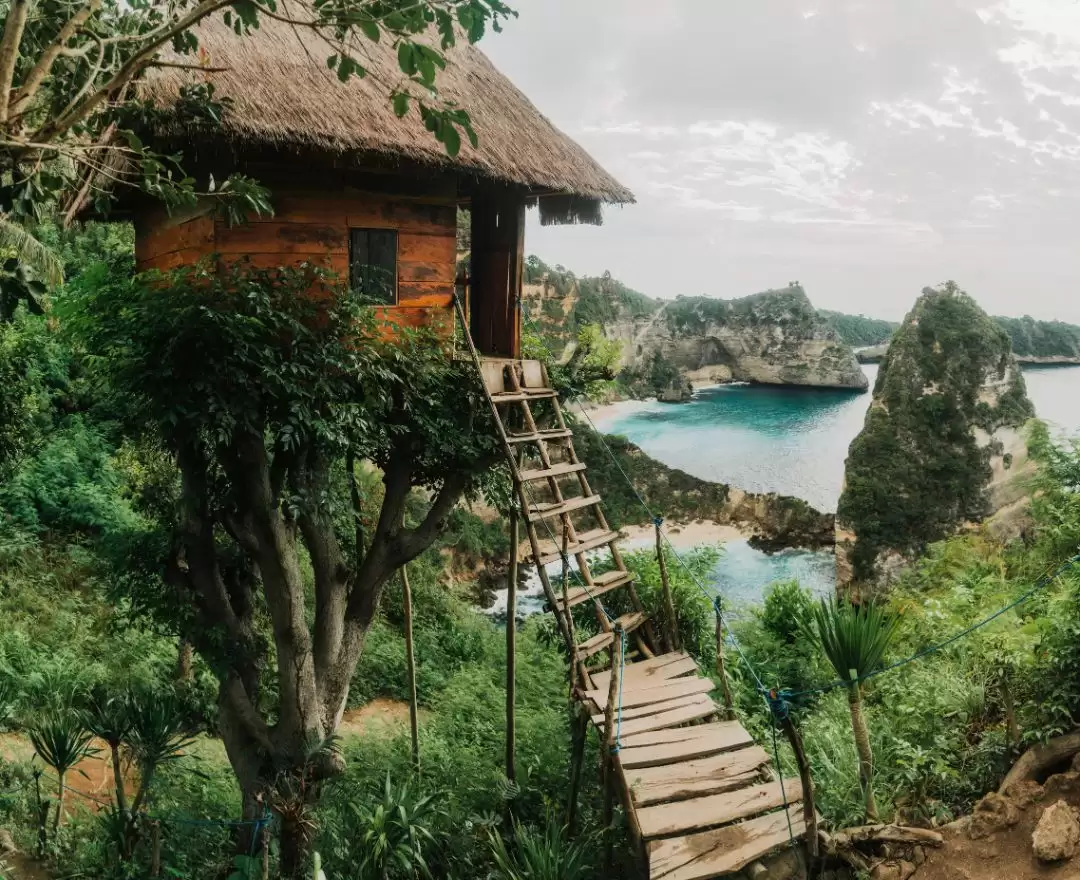 Mollenteng Tree House
