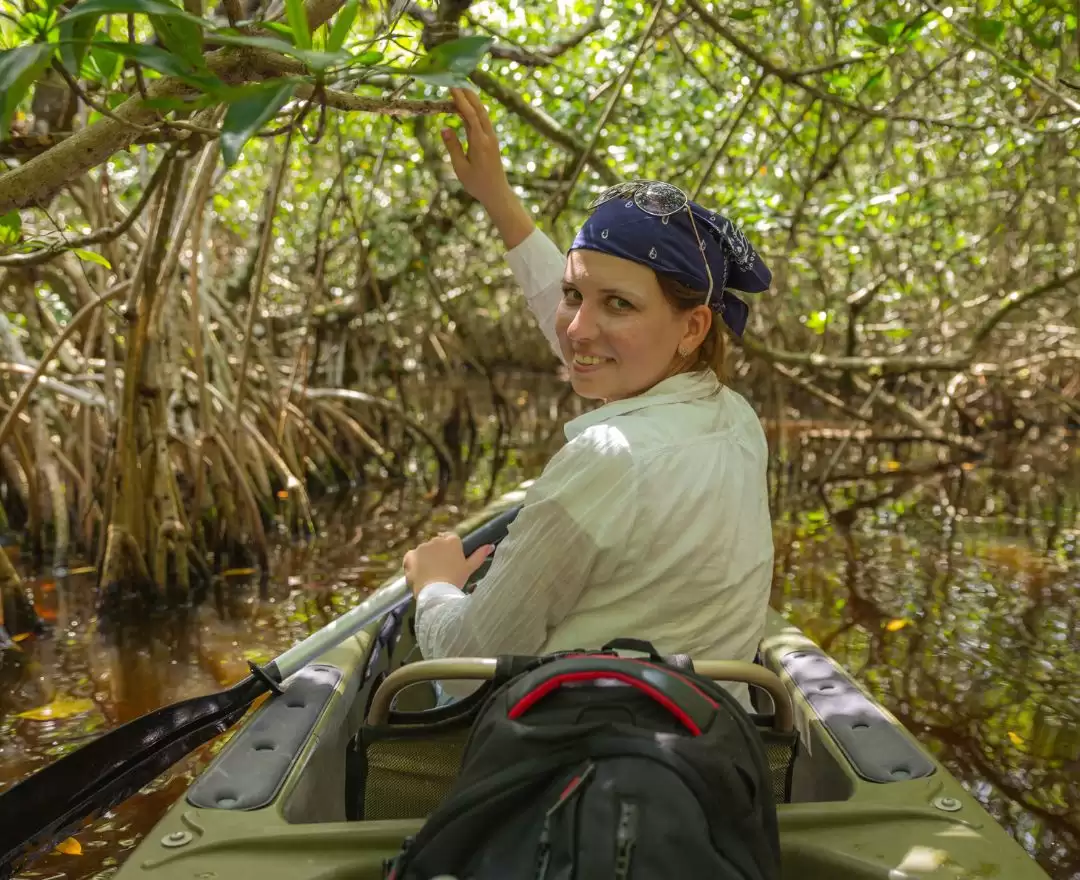 Wisata Mangrove Dengan Perahu 