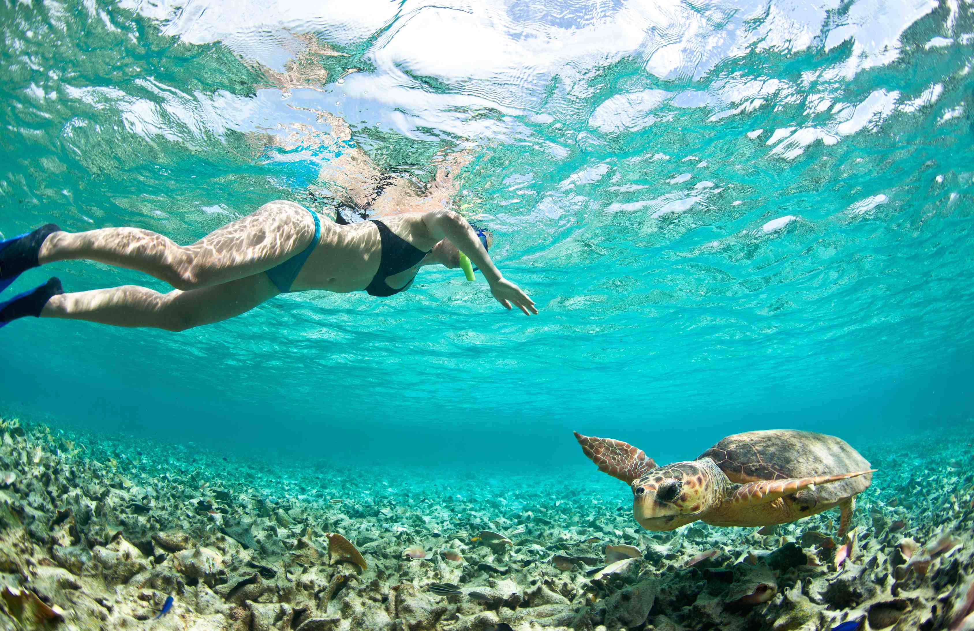 1Day 1Night Nusa Penida Tour Package + Snorkeling