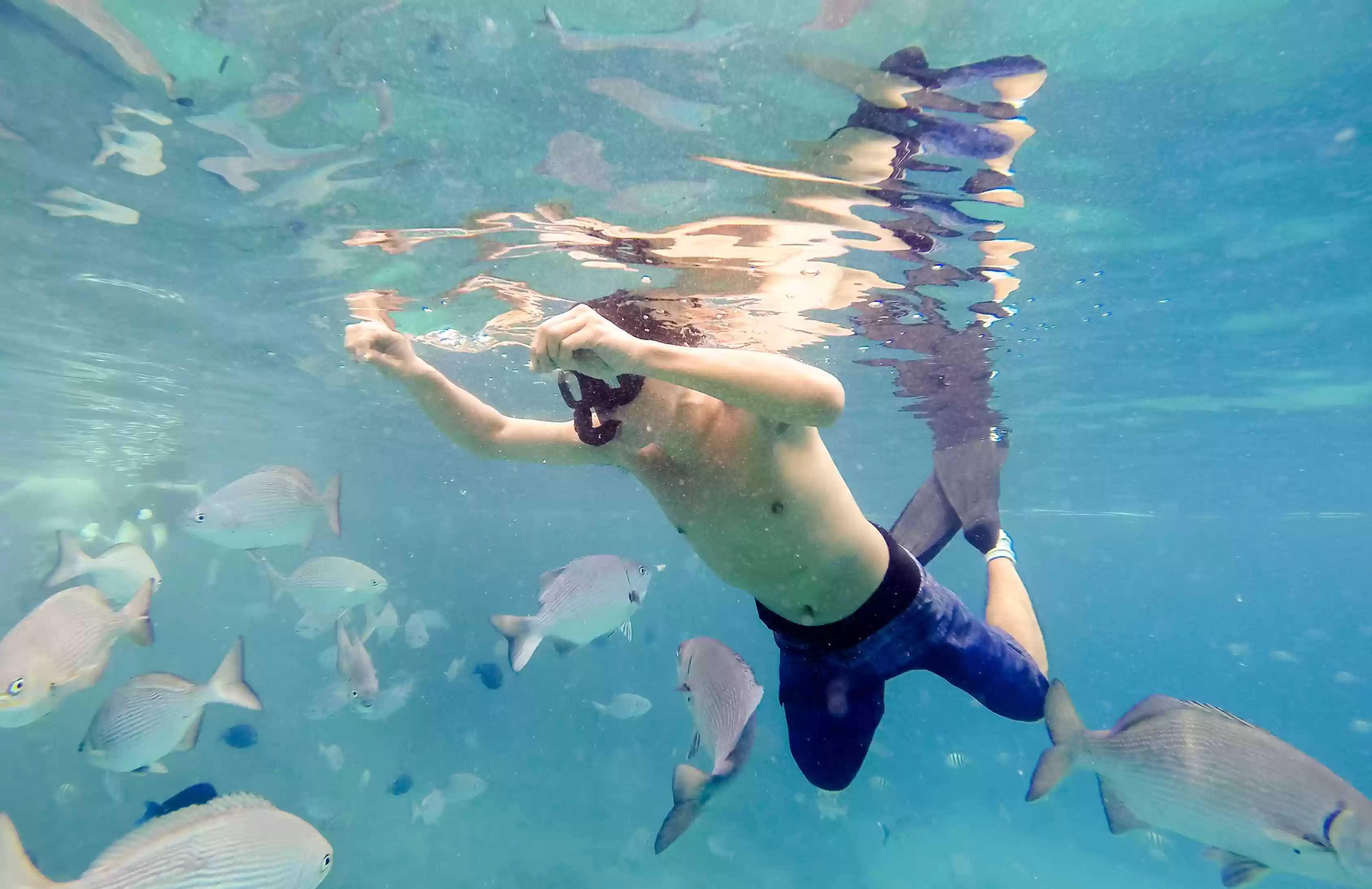 1Day Nusa Penida + Snorkeling Tour Package