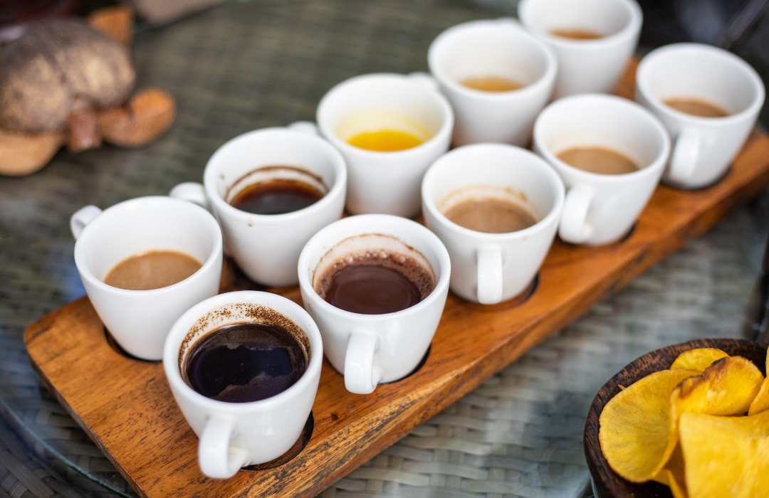 Bali River Tubing + Ubud Tour + Coffee Plantation