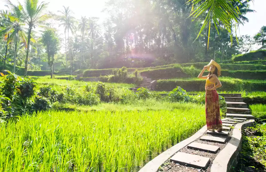 Tegalalang Rice Terrace 