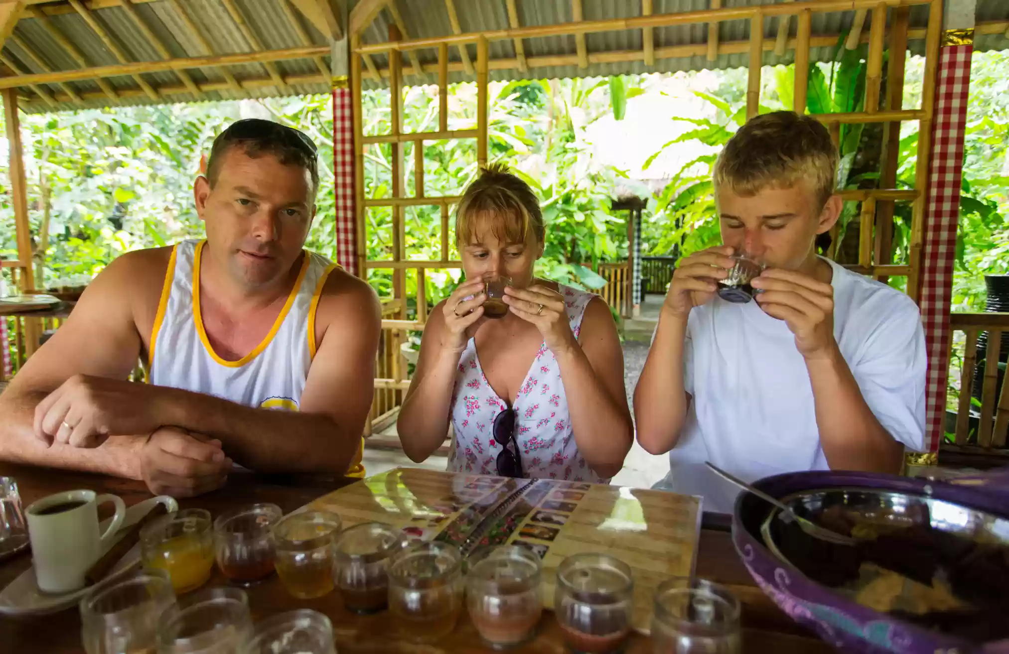 Coffee Plantation in Ubud