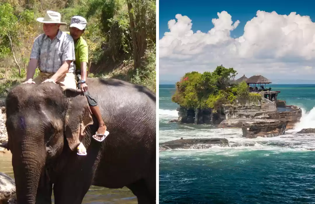 Elephant Ride & Tanah Lot Tour