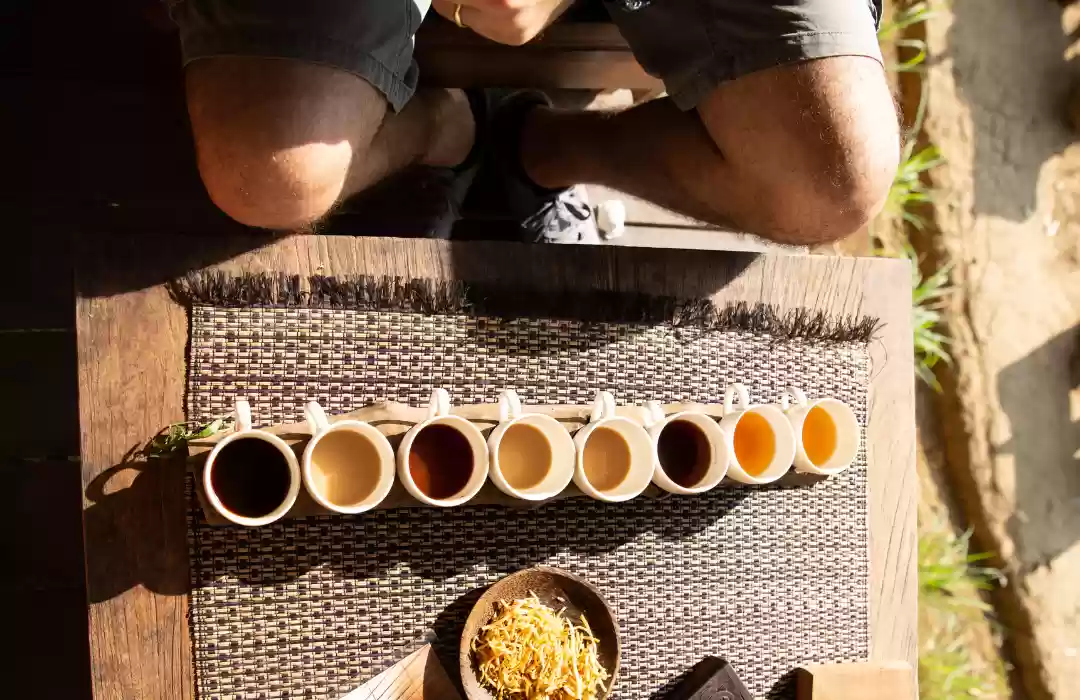 Bali Coffee Plantation