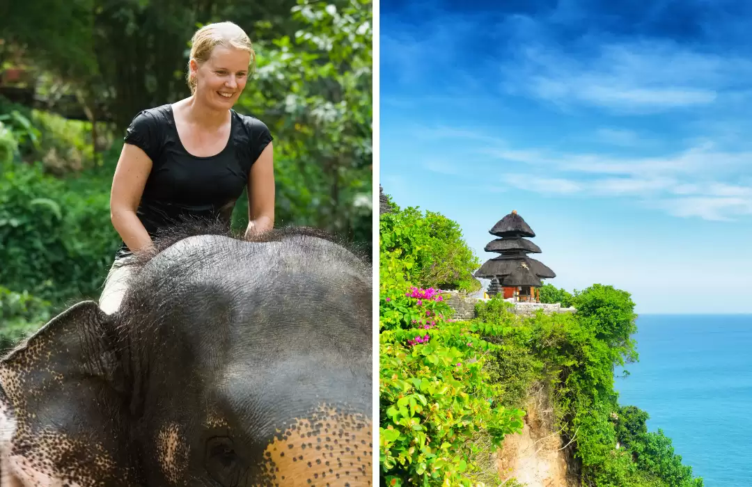 Elephant Ride & Uluwatu Tour