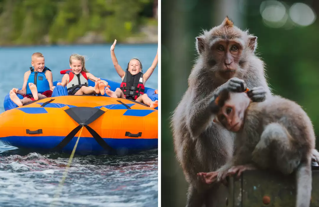Watersports & Ubud Tour