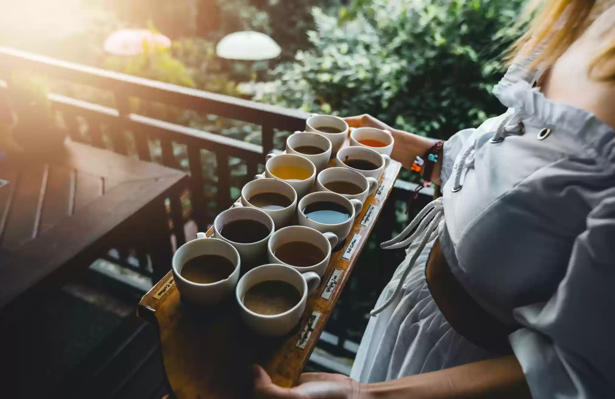 Coffee Plantations