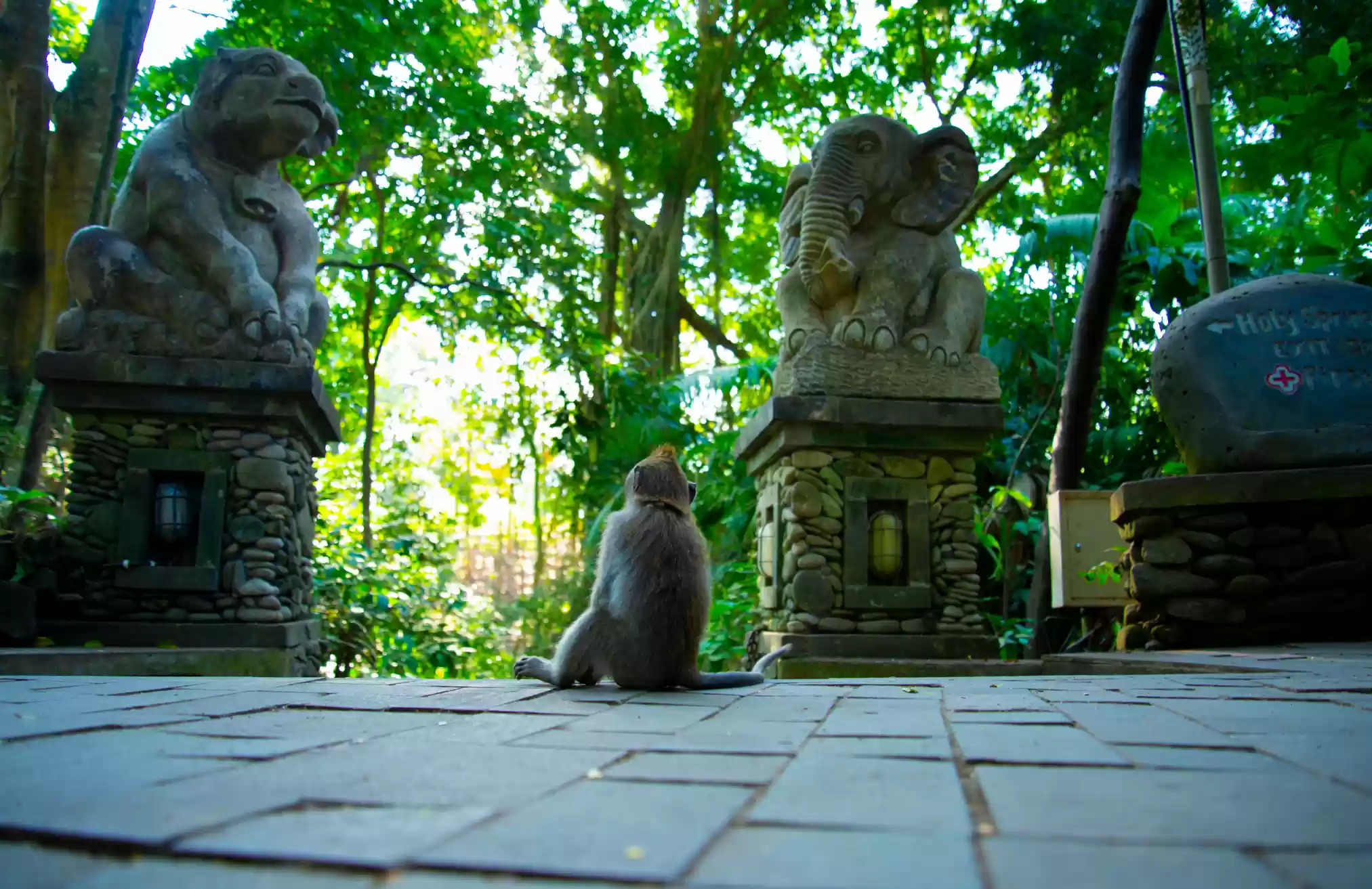 Ubud Monkey Forest 
