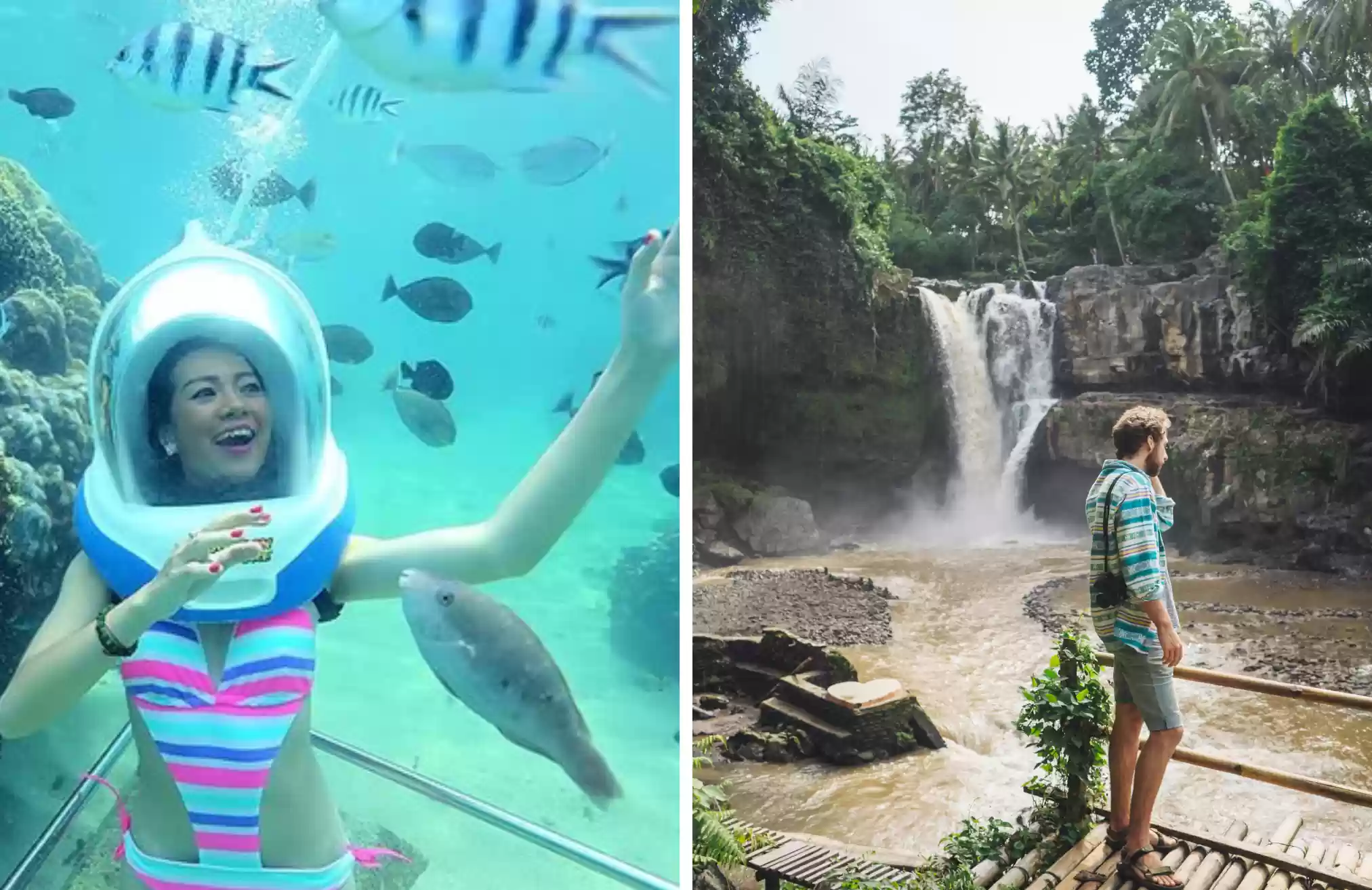 Bali Seawalker & Ubud Tour