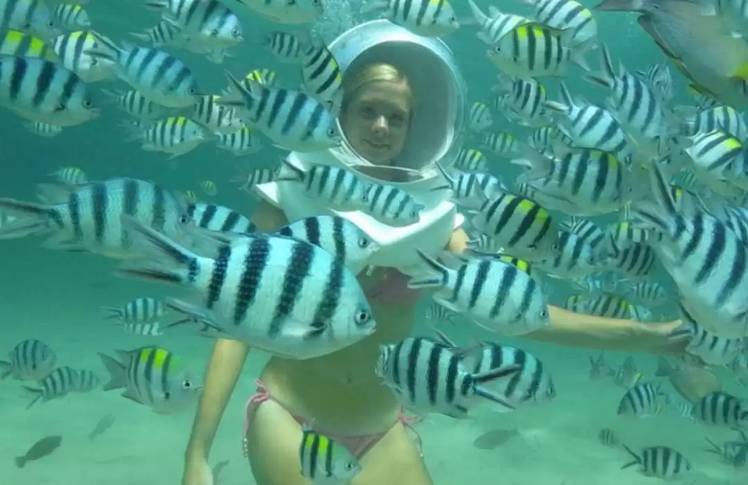 Sea Walker