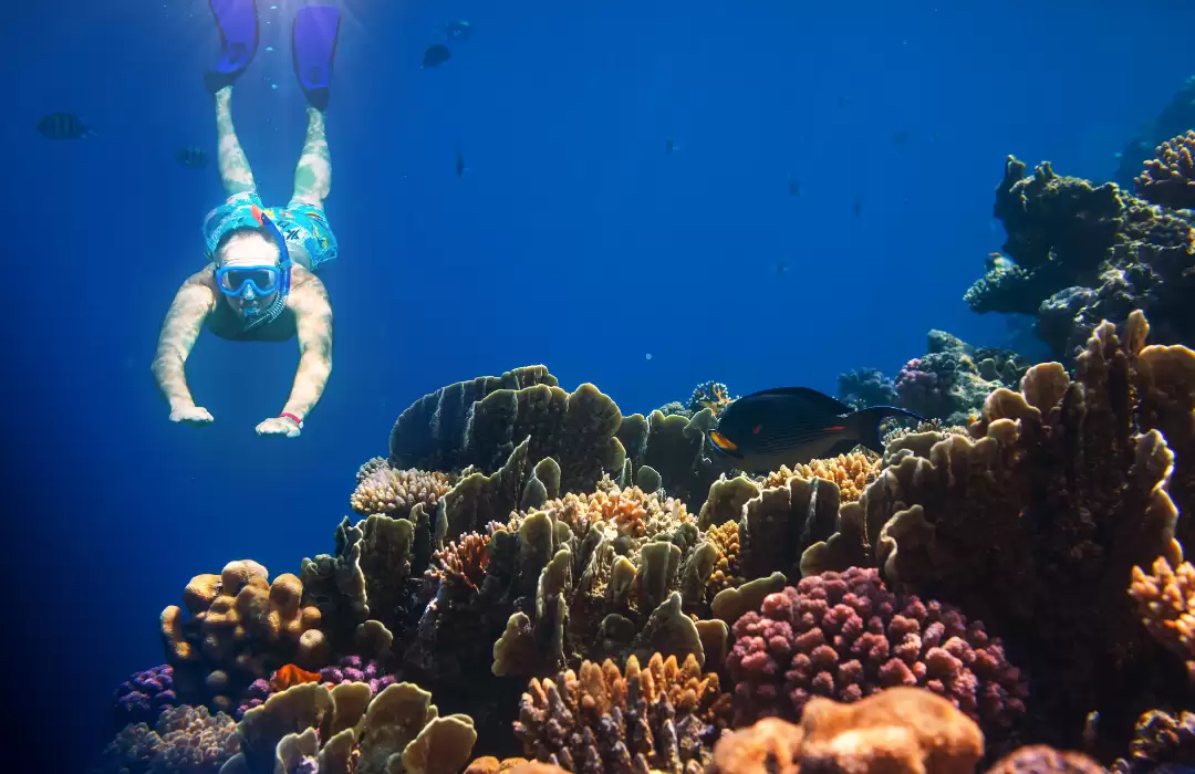 Snorkeling