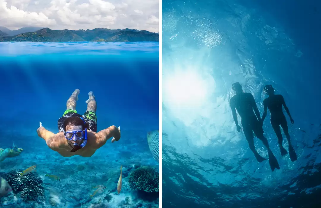 Snorkeling & Monkey Bar Tour