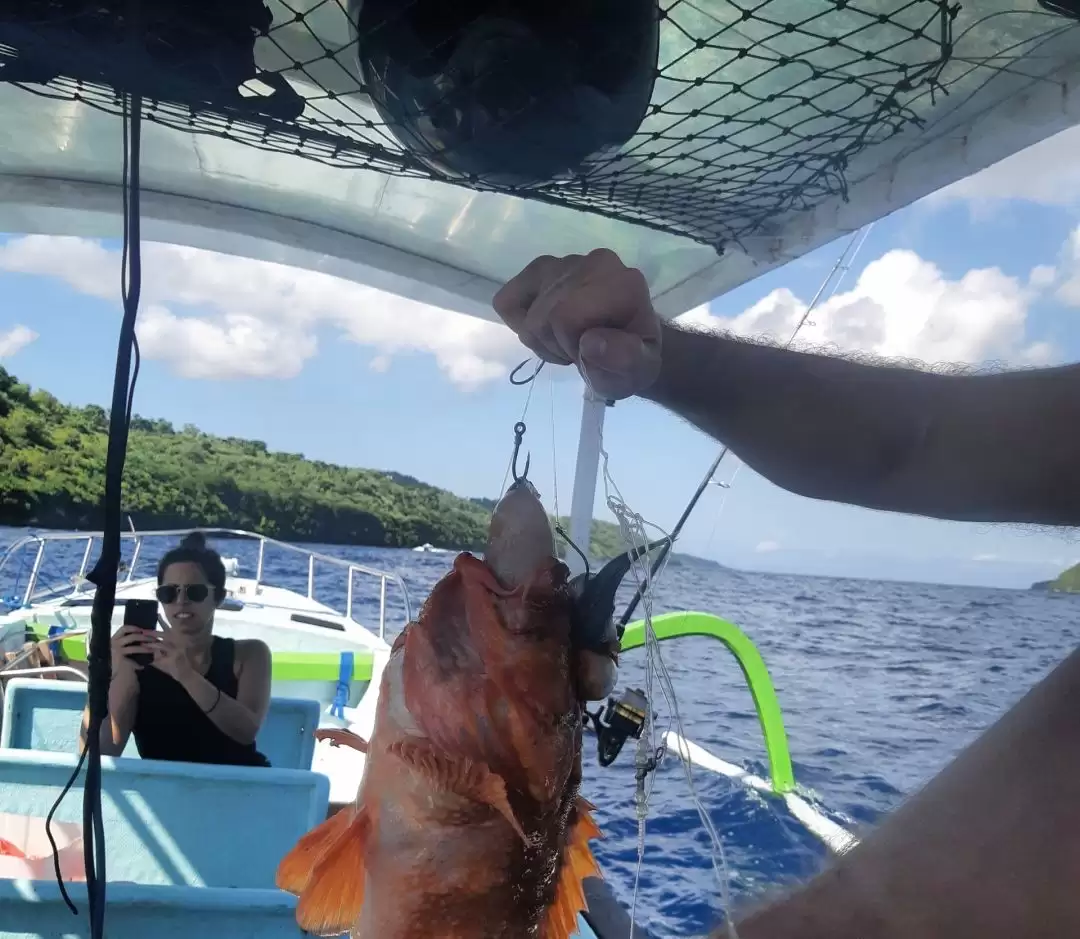 Half Day Trip – Reefs3