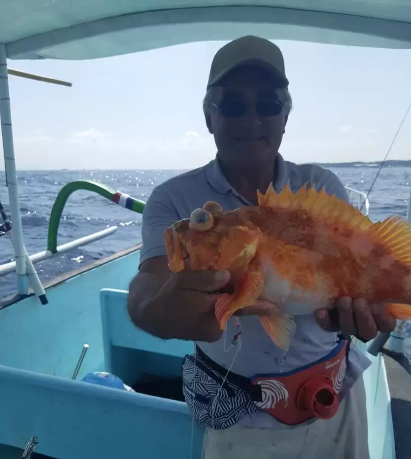 Half Day Trip – Reefs1
