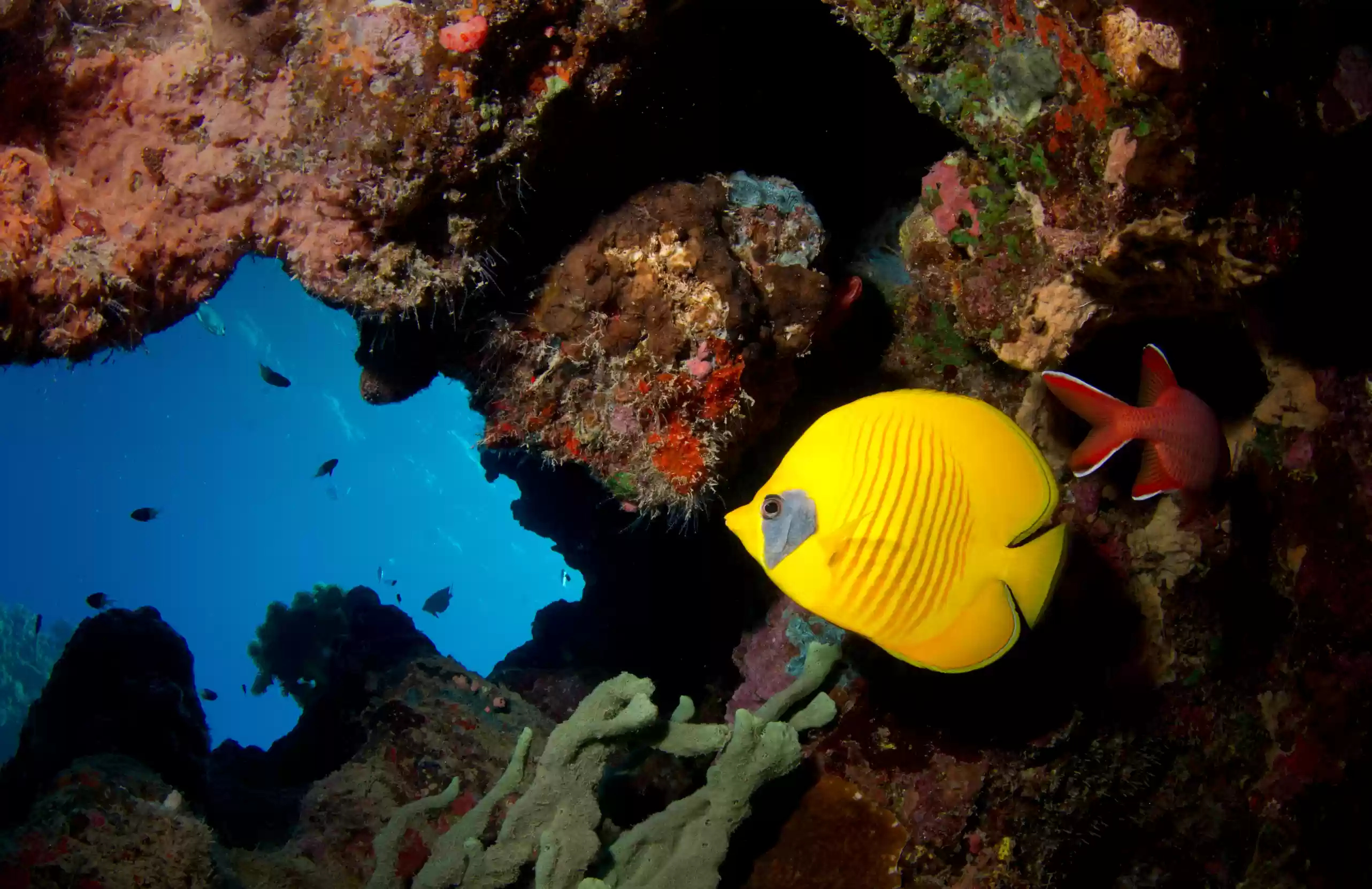 Private Snorkeling5