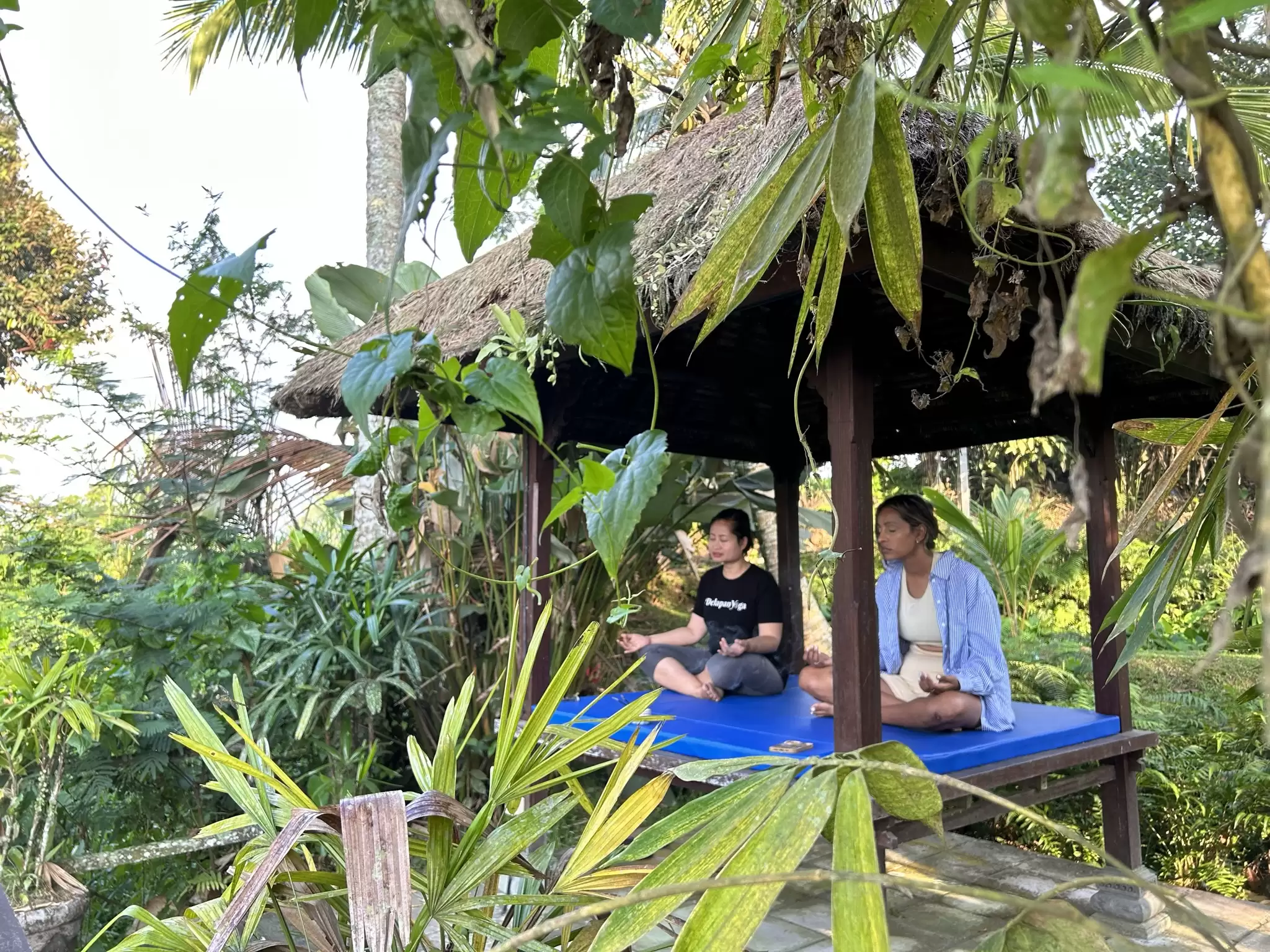 Meditation Among Nature