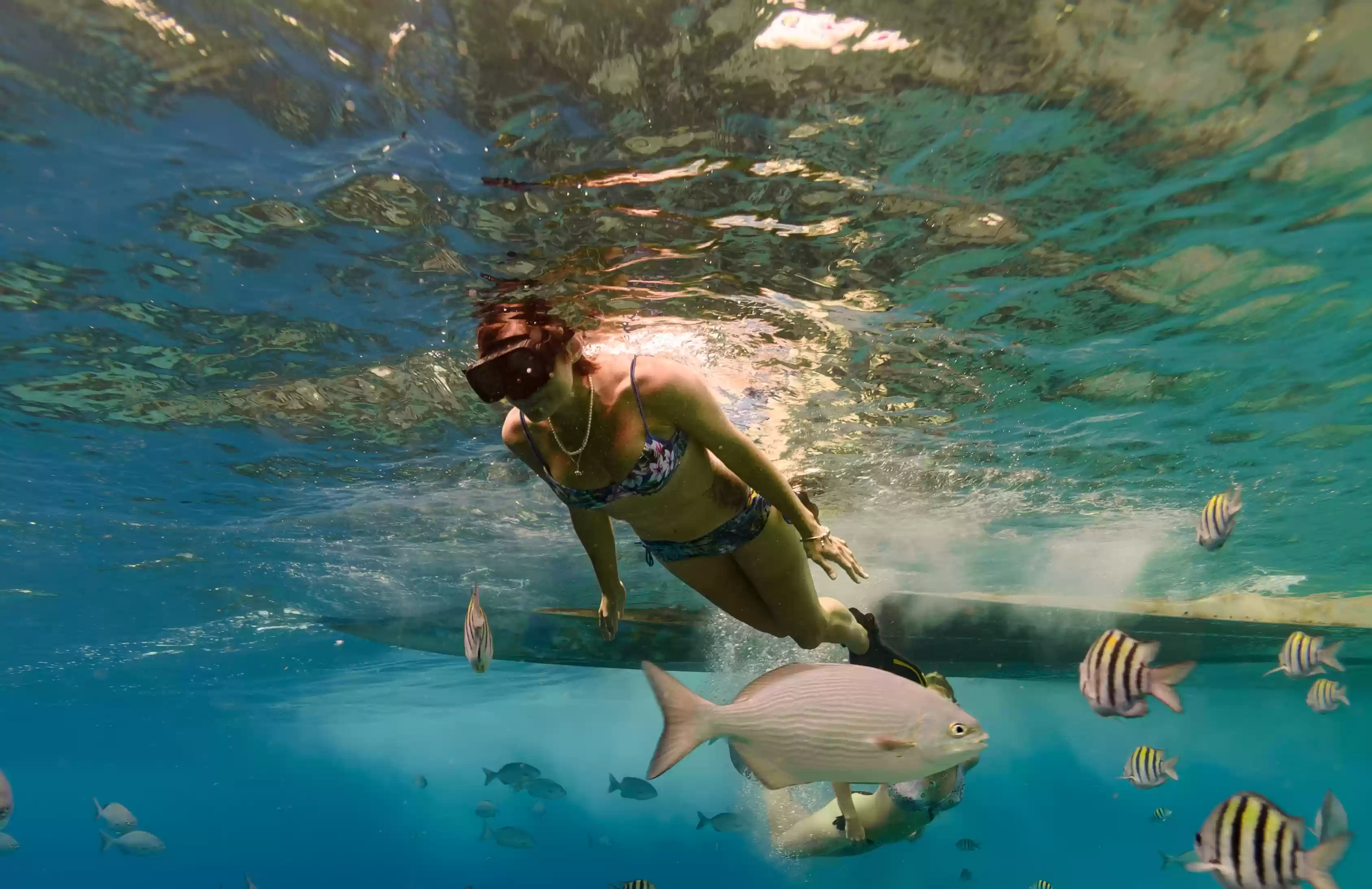 Snorkeling + West Trip Nusa Penida Tour