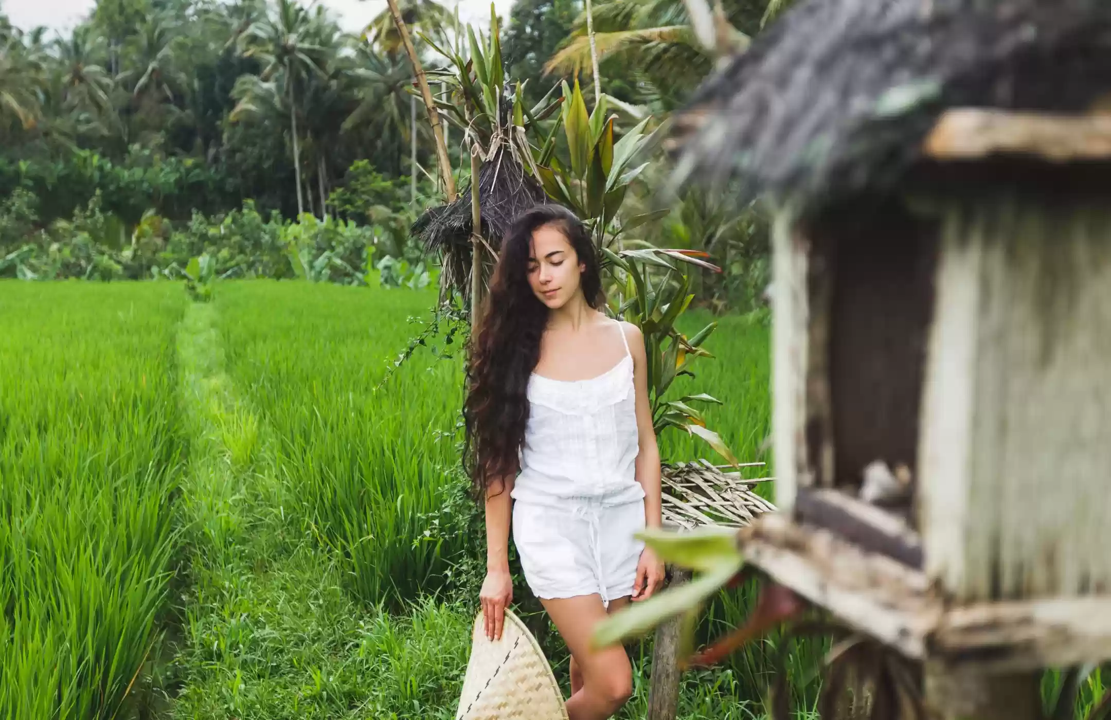Jatiluwih Rice Terrace