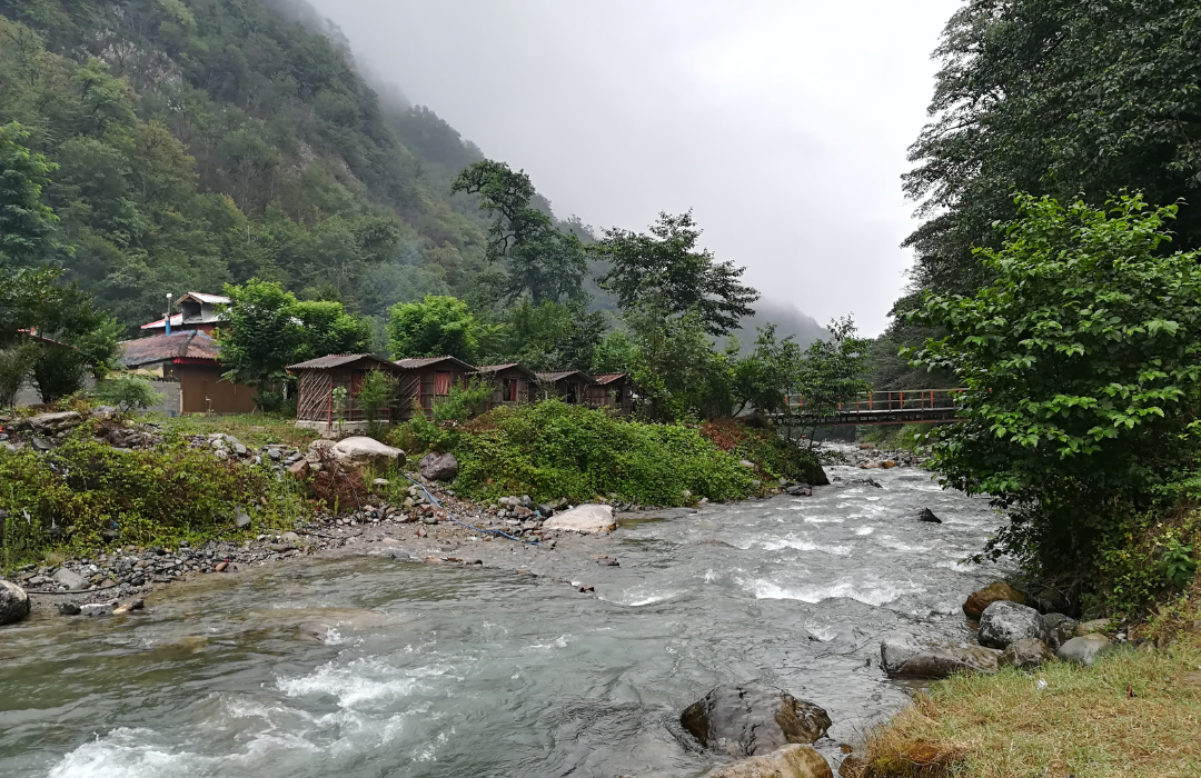 A Journey through Nature’s Beauty