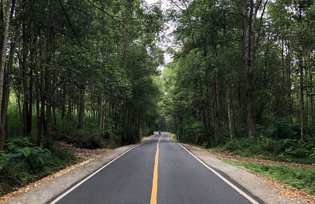 Kenali Kondisi Jalan di Bali