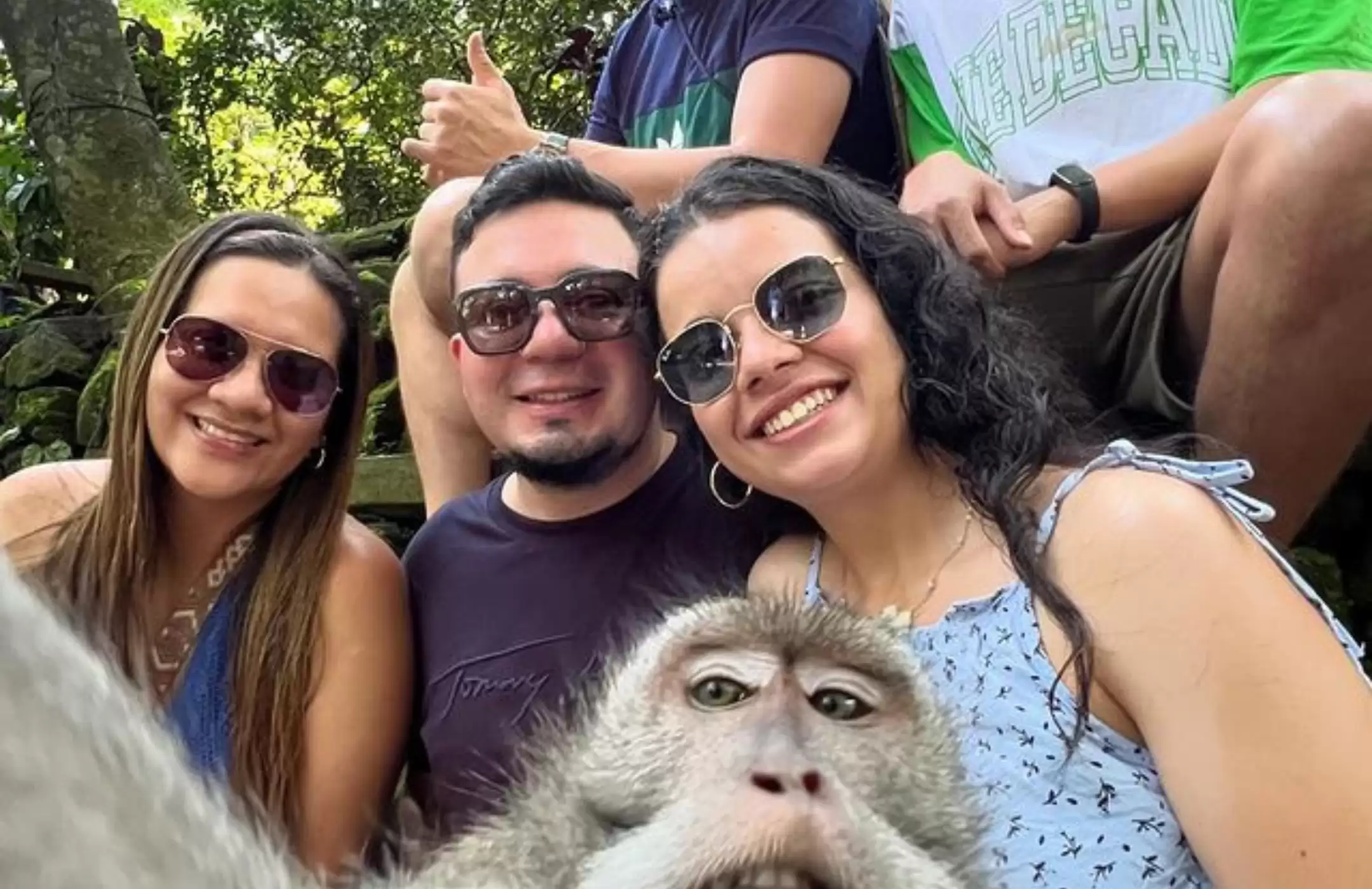 Quad Bike + Monkey Forest + Coffee Plantation 