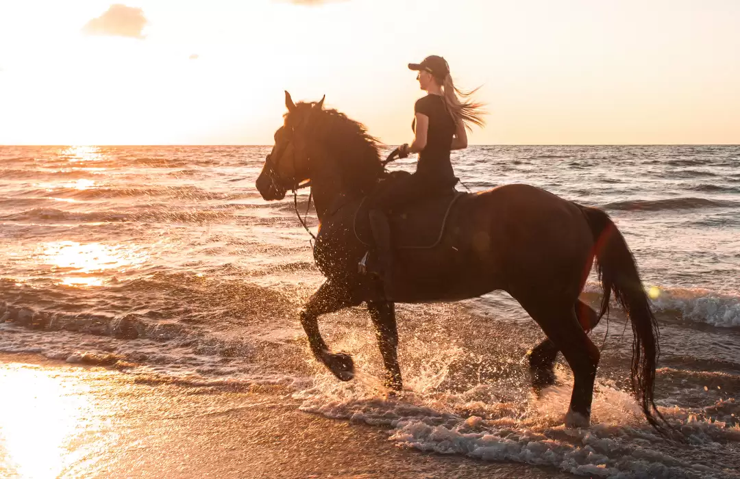 Quad Bike + Bali Horse Riding