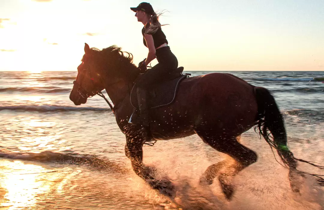 Quad Bike + Bali Horse Riding