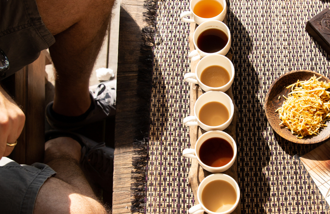 Coffee Plantation/Coffee Break