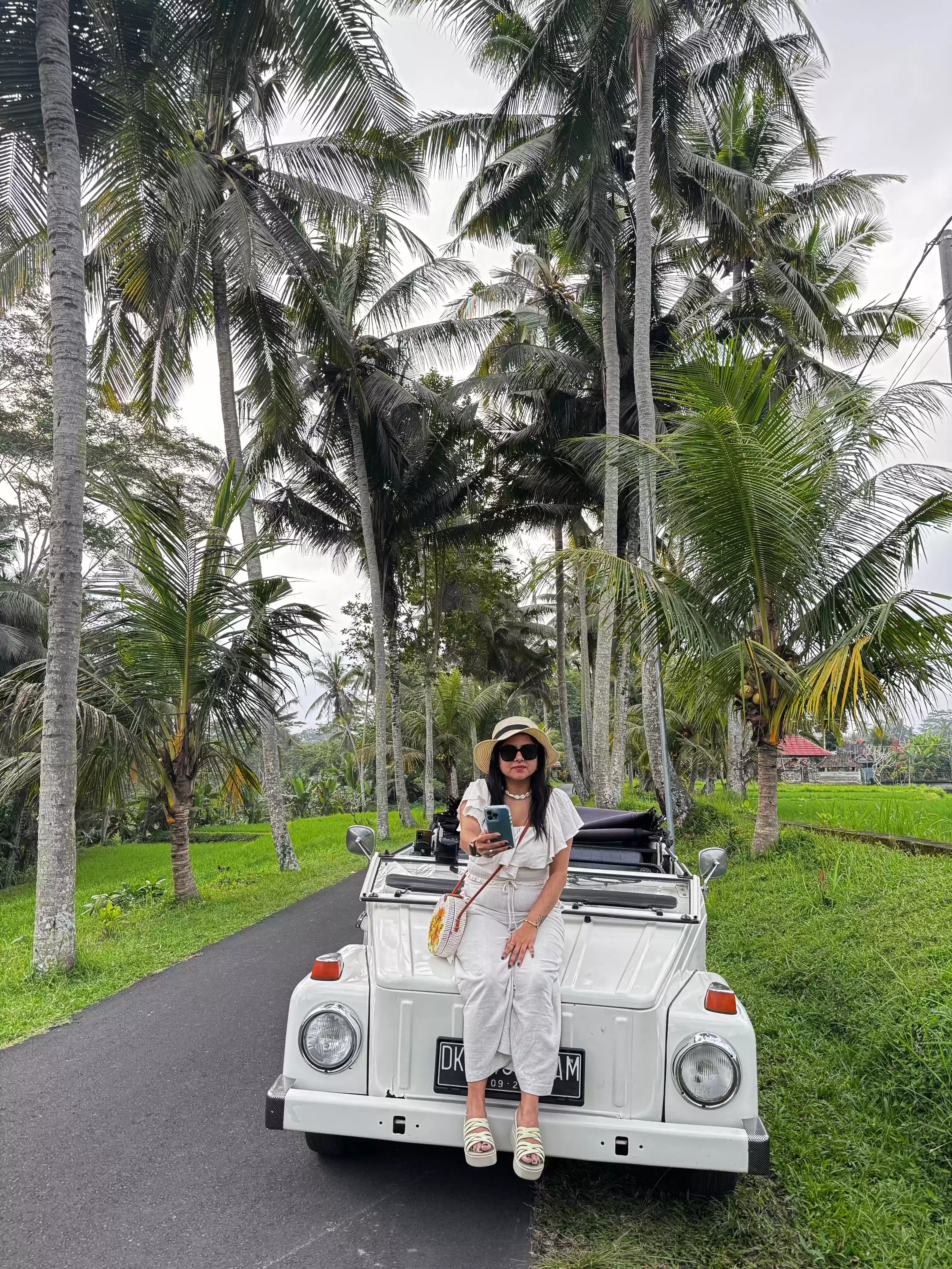 Classic Tour Kintamani with Sexy Car