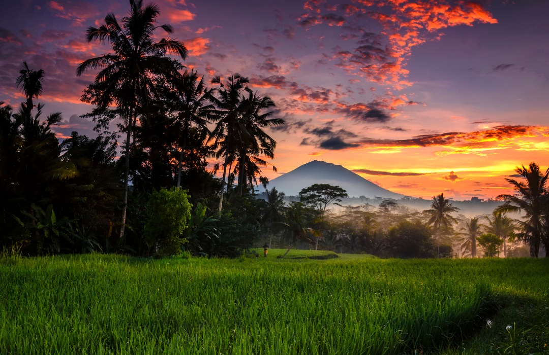 Ubud – Romansa di Tengah Alam