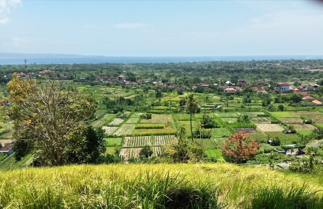  Bukit Belong – Pemandangan Terasering yang Mengagumkan