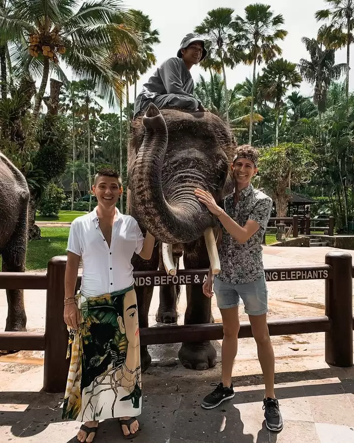 Quad Bike + Elephant Riding Mason Elephant Safari