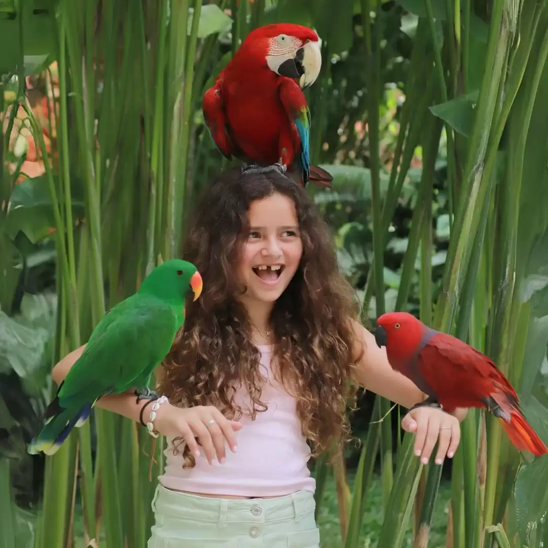 Quad Bike + Bali Bird Park 