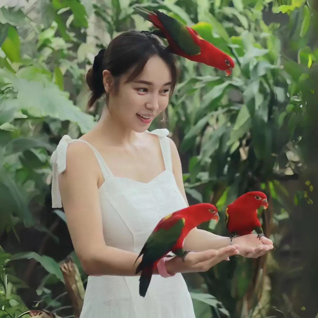 Quad Bike + Bali Bird Park 