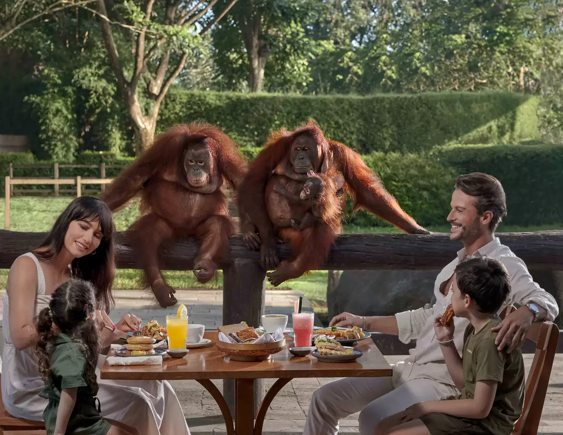 Quad Bike + Breakfast with Orangutan + Visit Zoo