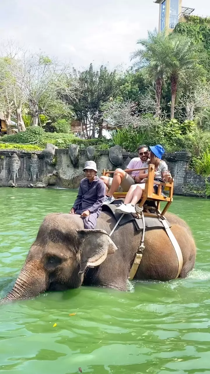 Quad Bike + Elephant Riding Bali Zoo + Visit Zoo