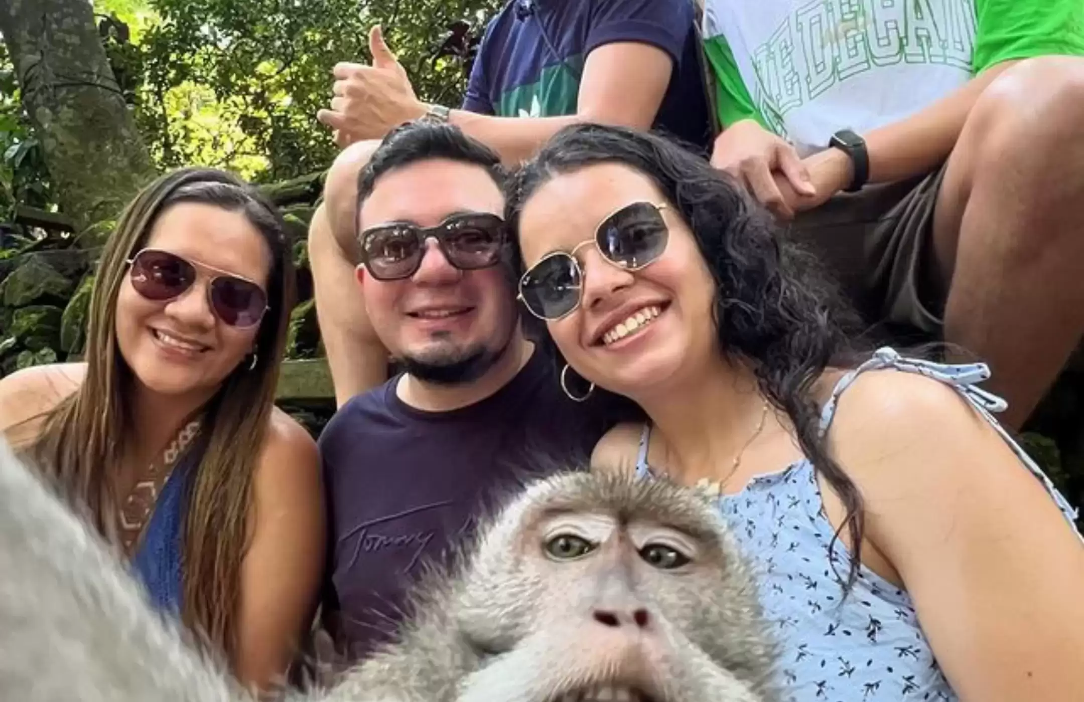 Quad Bike + Monkey Forest + Coffee Plantation 