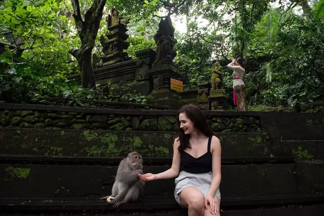 Quad Bike + Monkey Forest + Coffee Plantation 