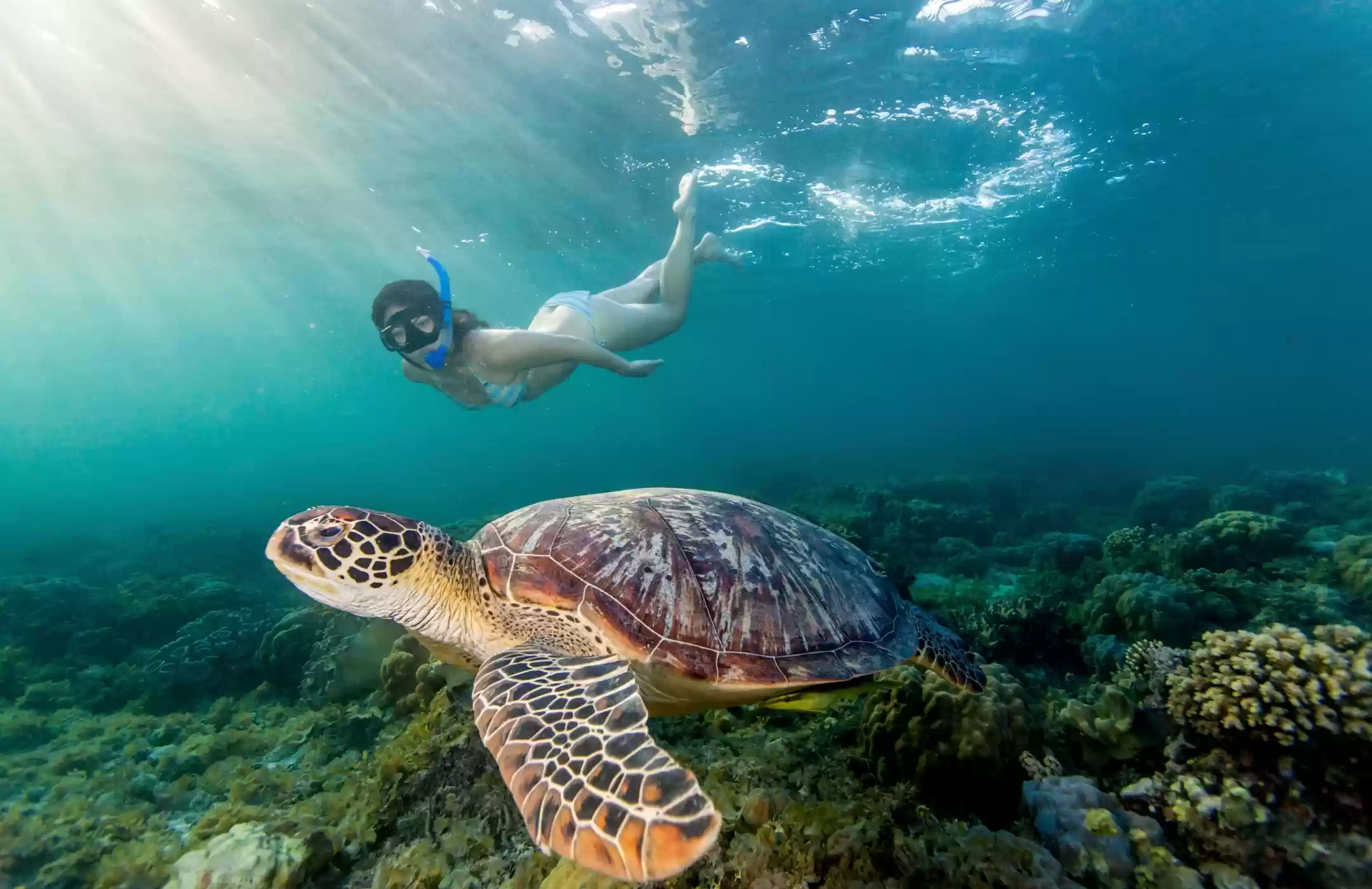 Snorkeling & Sunset Tour Packages