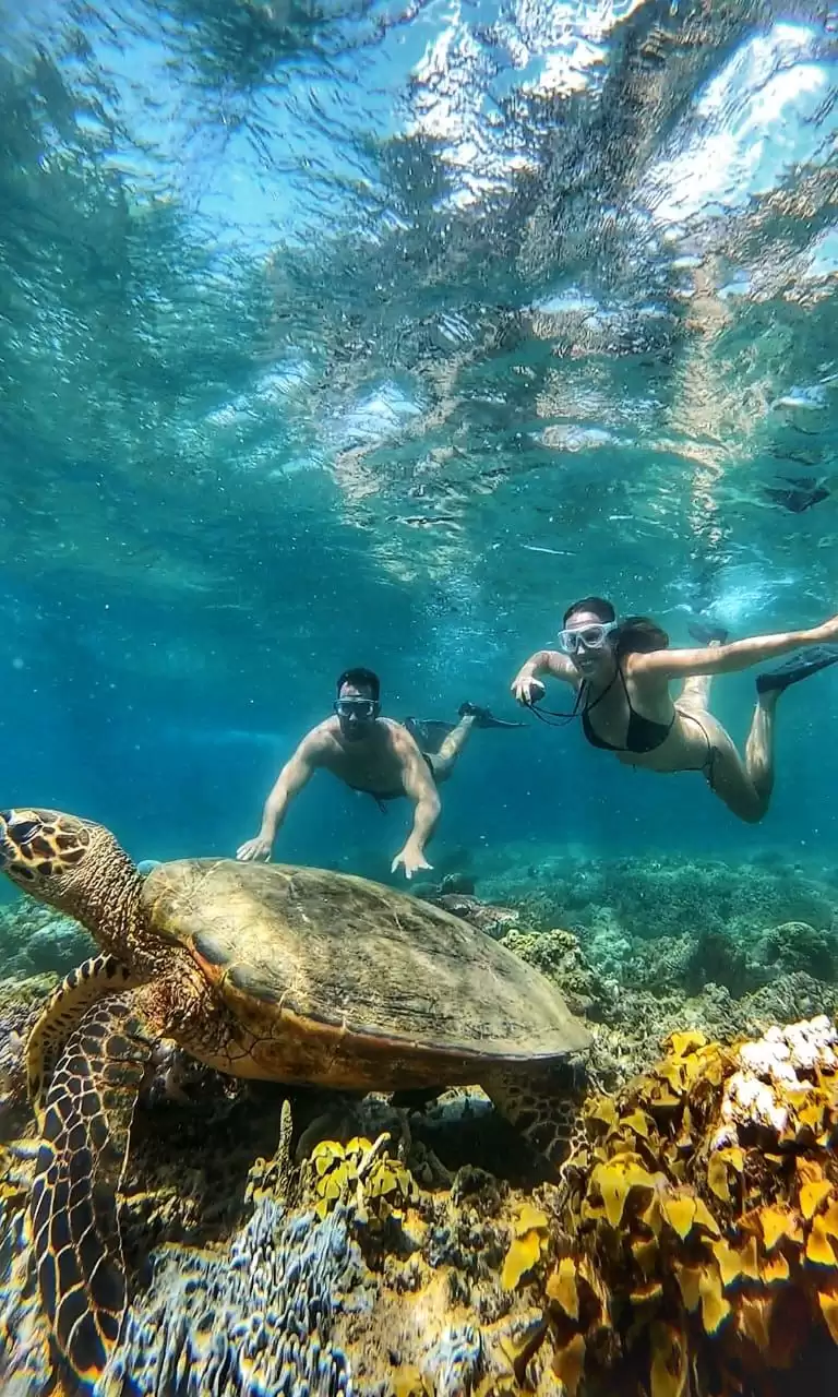Snorkeling & Sunset Tour Packages
