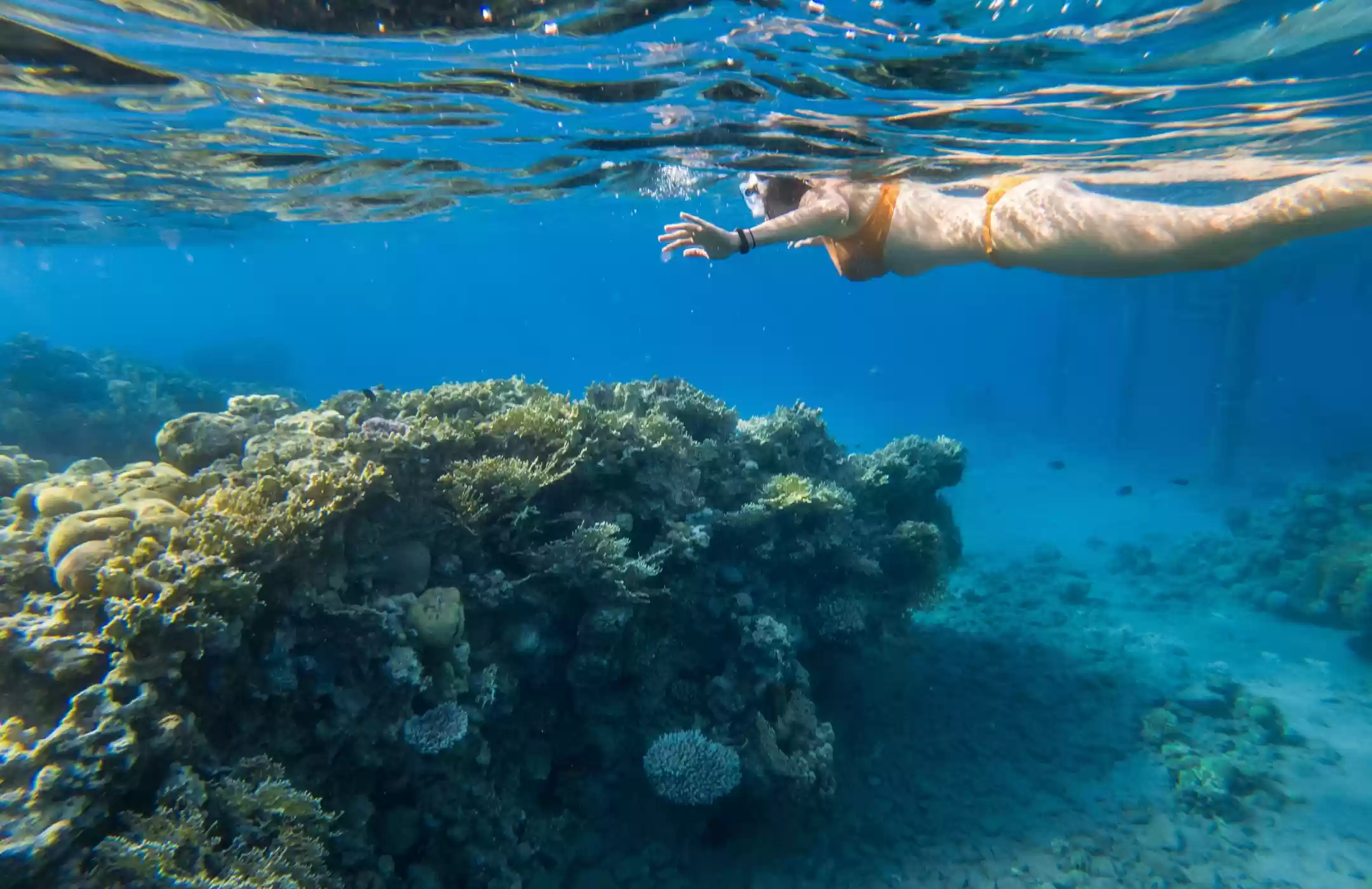 Snorkeling Tour Packages 2