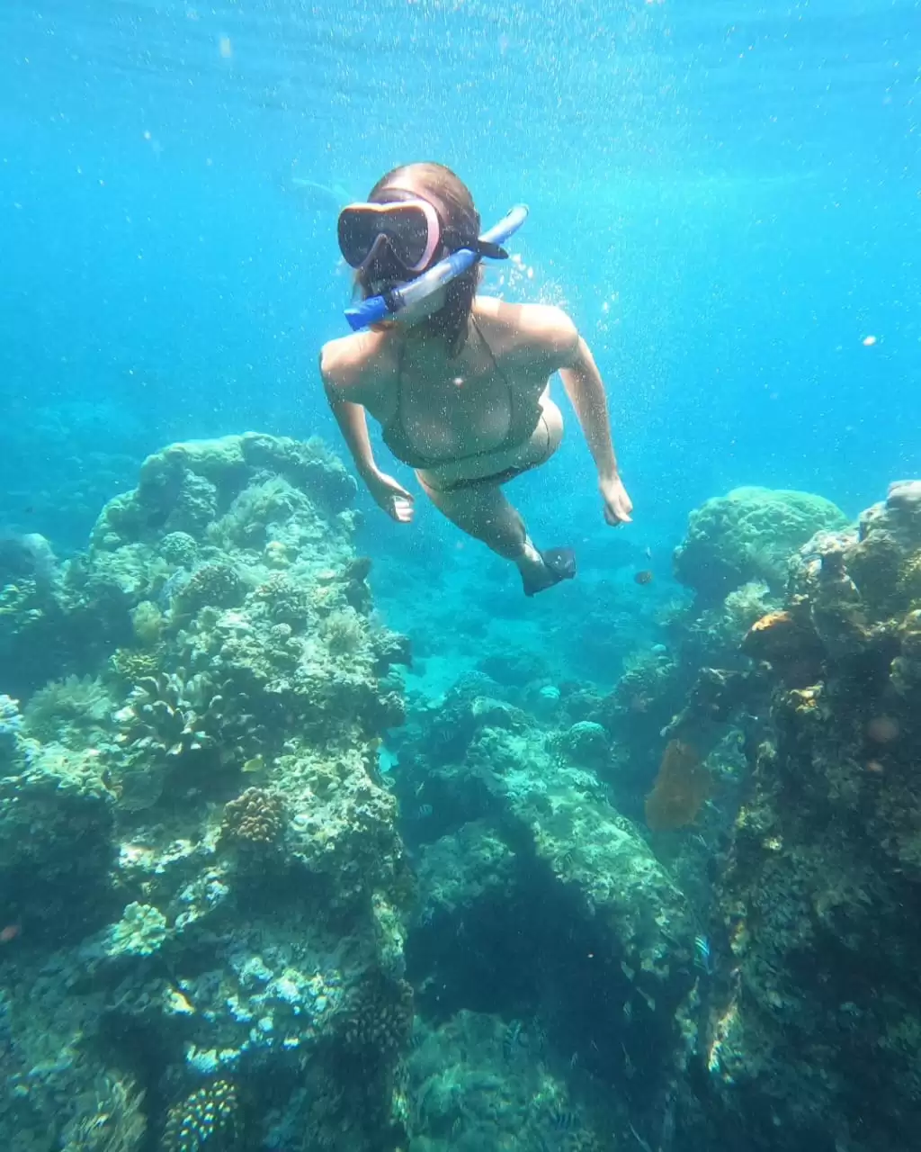 Snorkeling Tour Packages 2