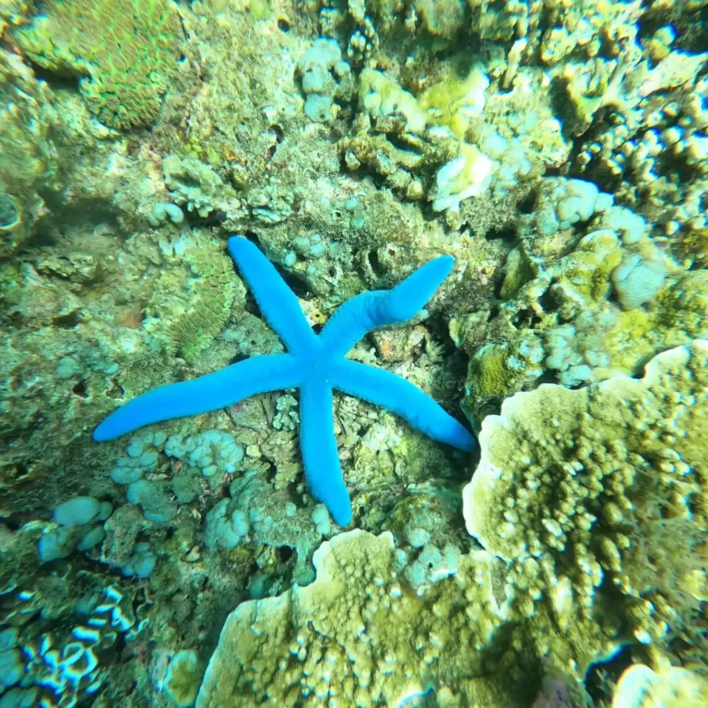 Snorkeling Tour Packages 2