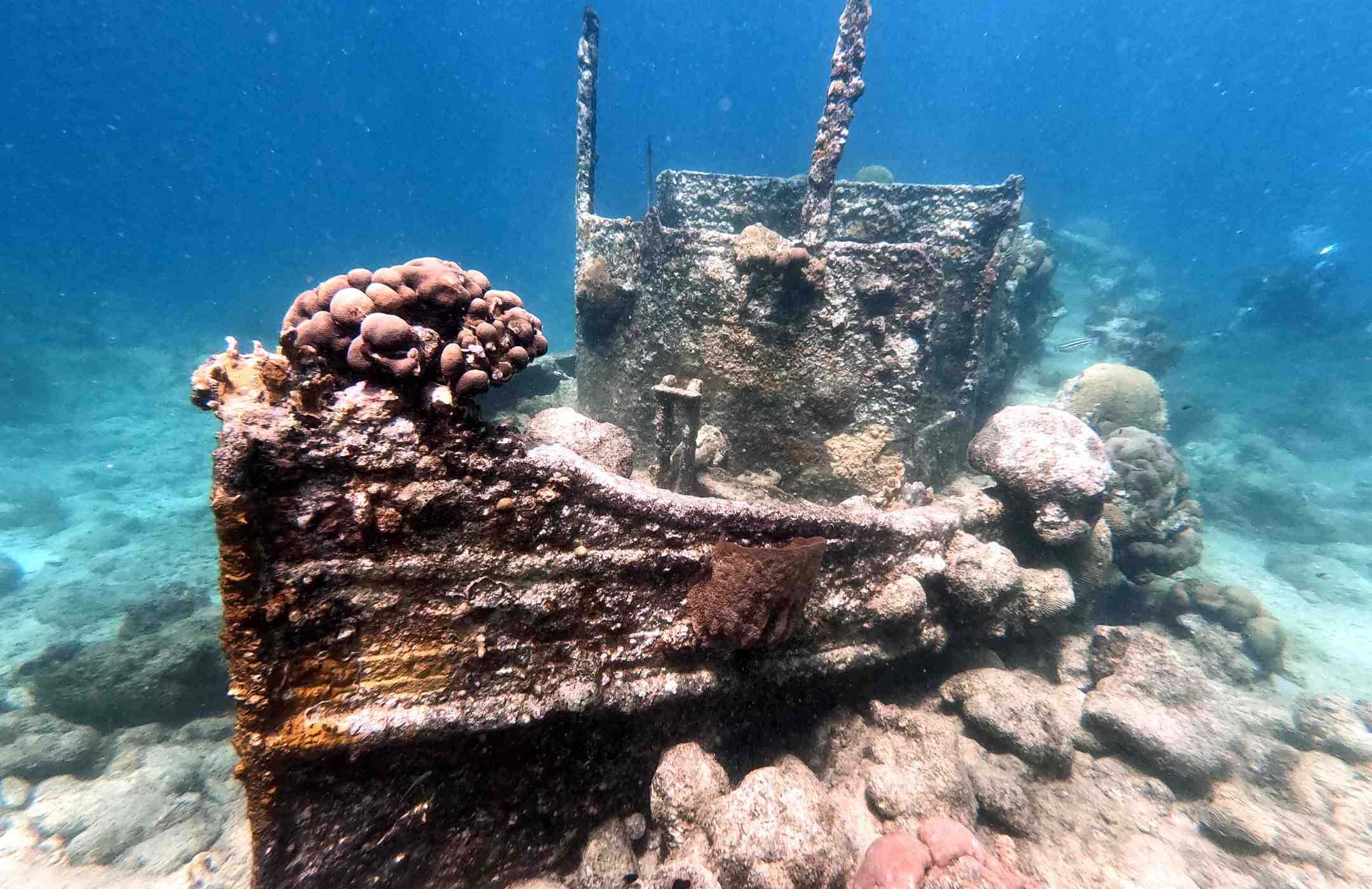 Snorkeling Tour Packages 2