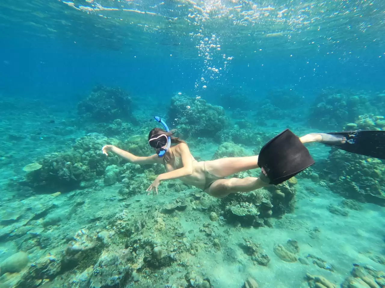 Snorkeling Tour Packages 1