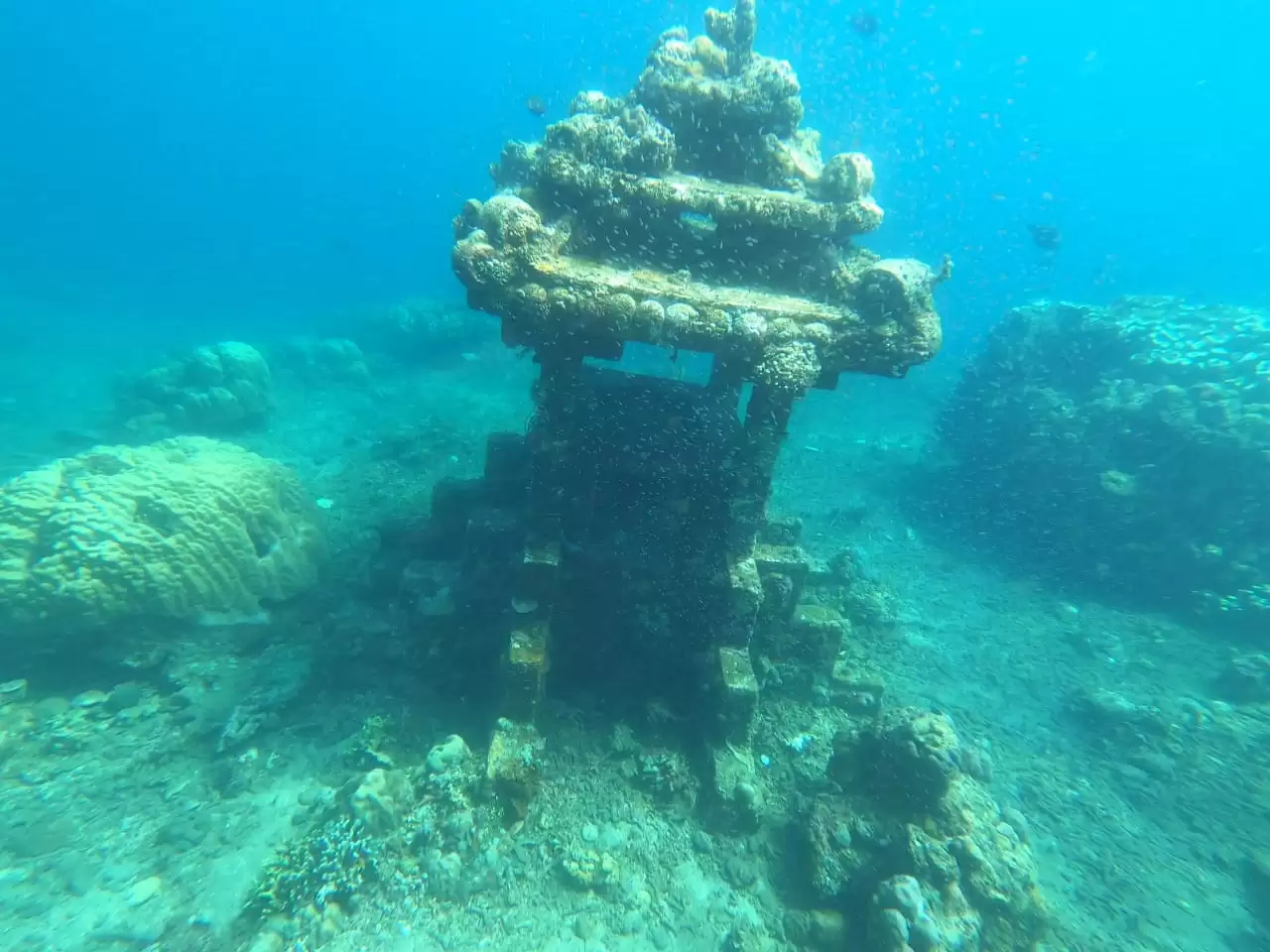 Snorkeling Tour Packages 1