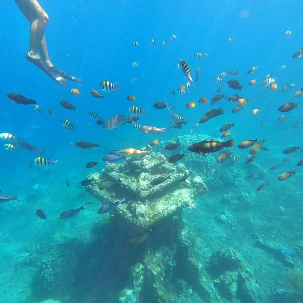 Snorkeling Tour Packages 1